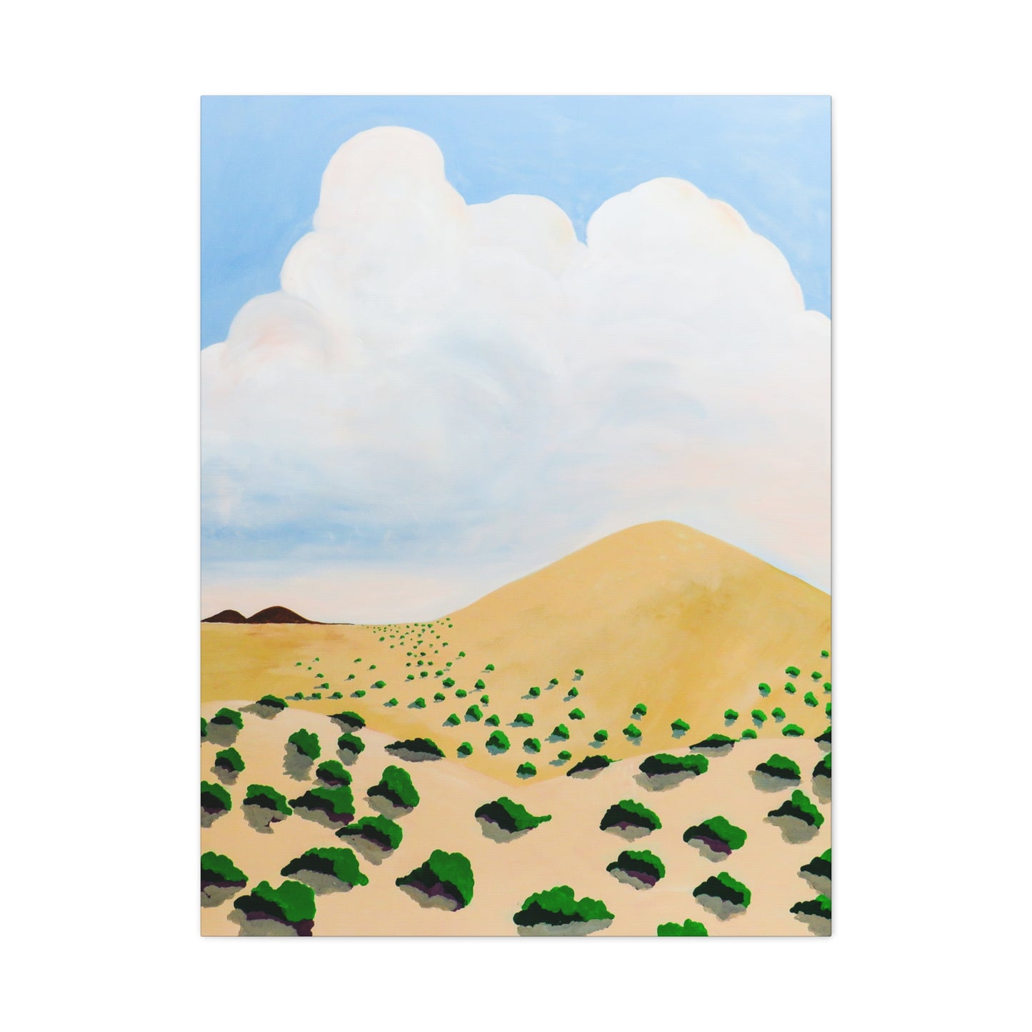 Desert Nothing New Mexico