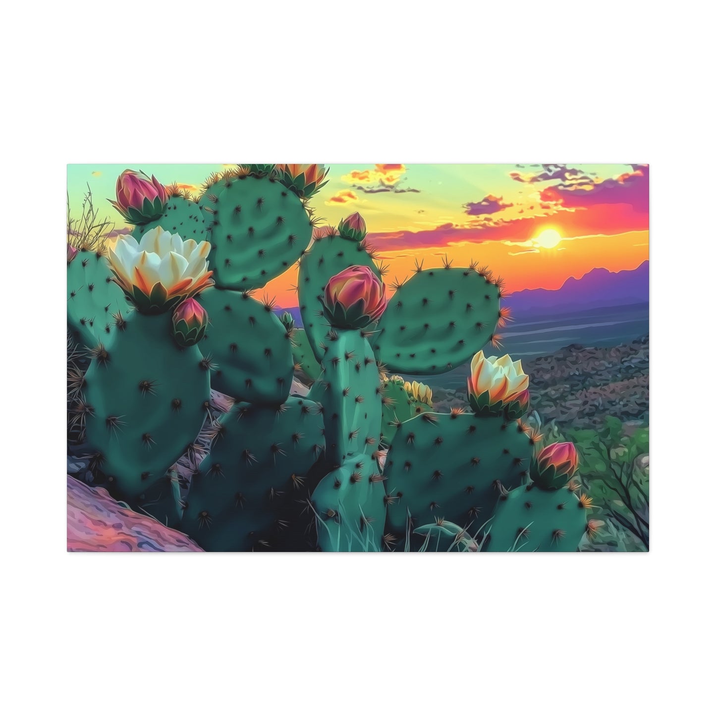 Prickly Pear Blooming Vista 3