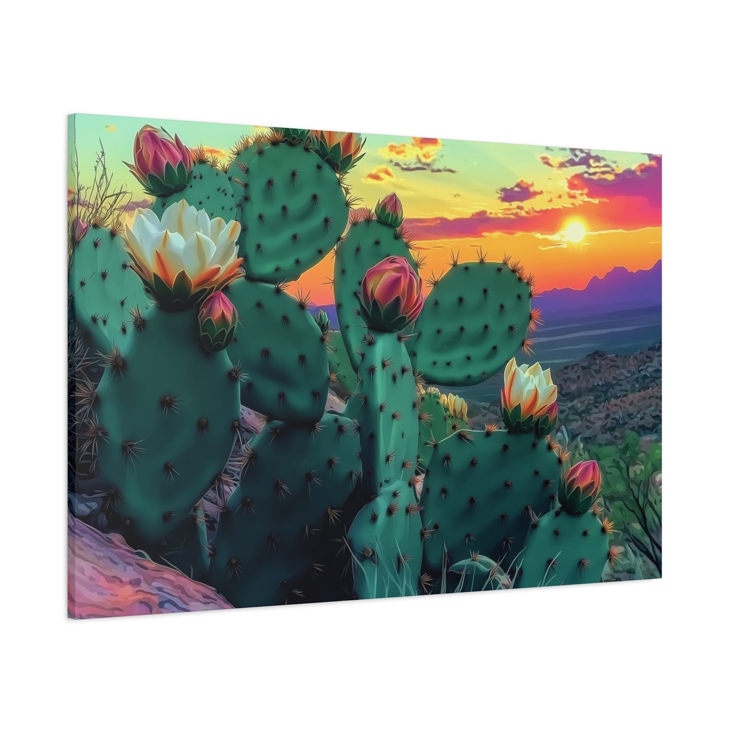 Prickly Pear Blooming Vista 3