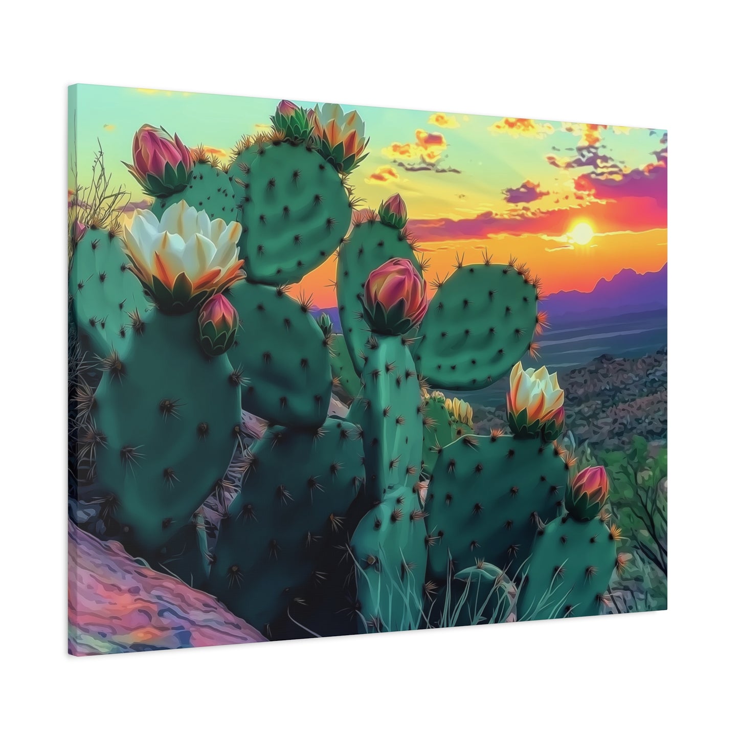 Prickly Pear Blooming Vista 3