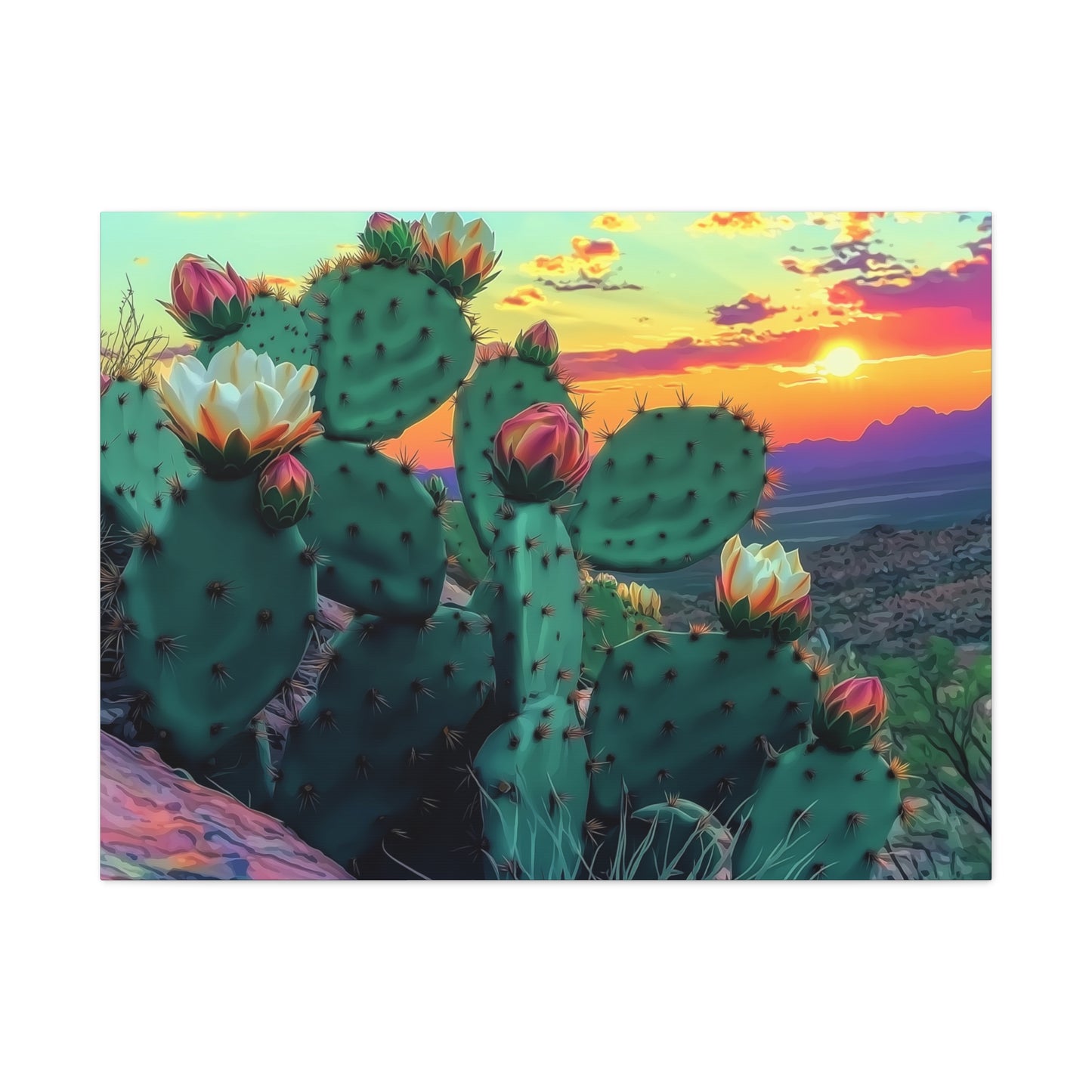 Prickly Pear Blooming Vista 3