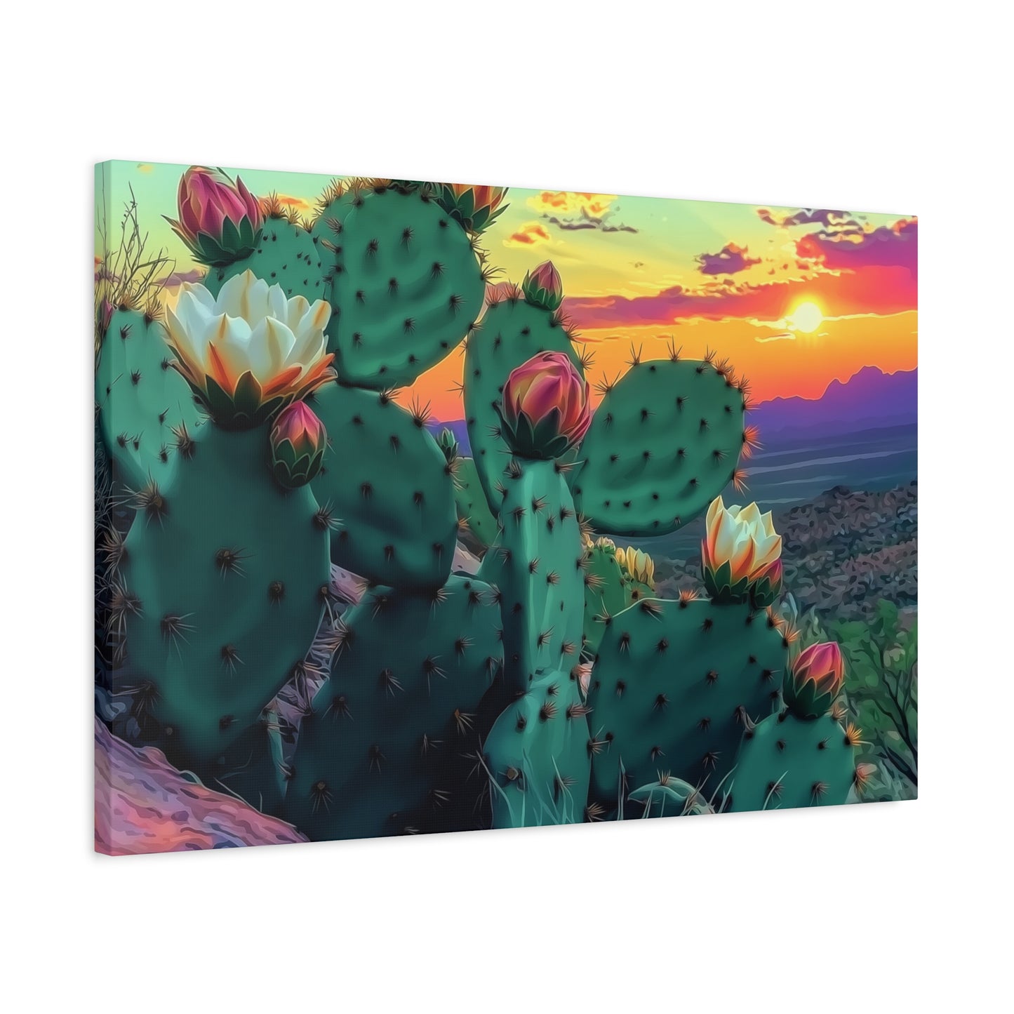 Prickly Pear Blooming Vista 3