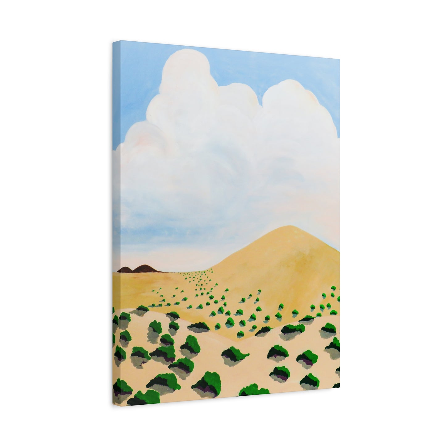 Desert Nothing New Mexico