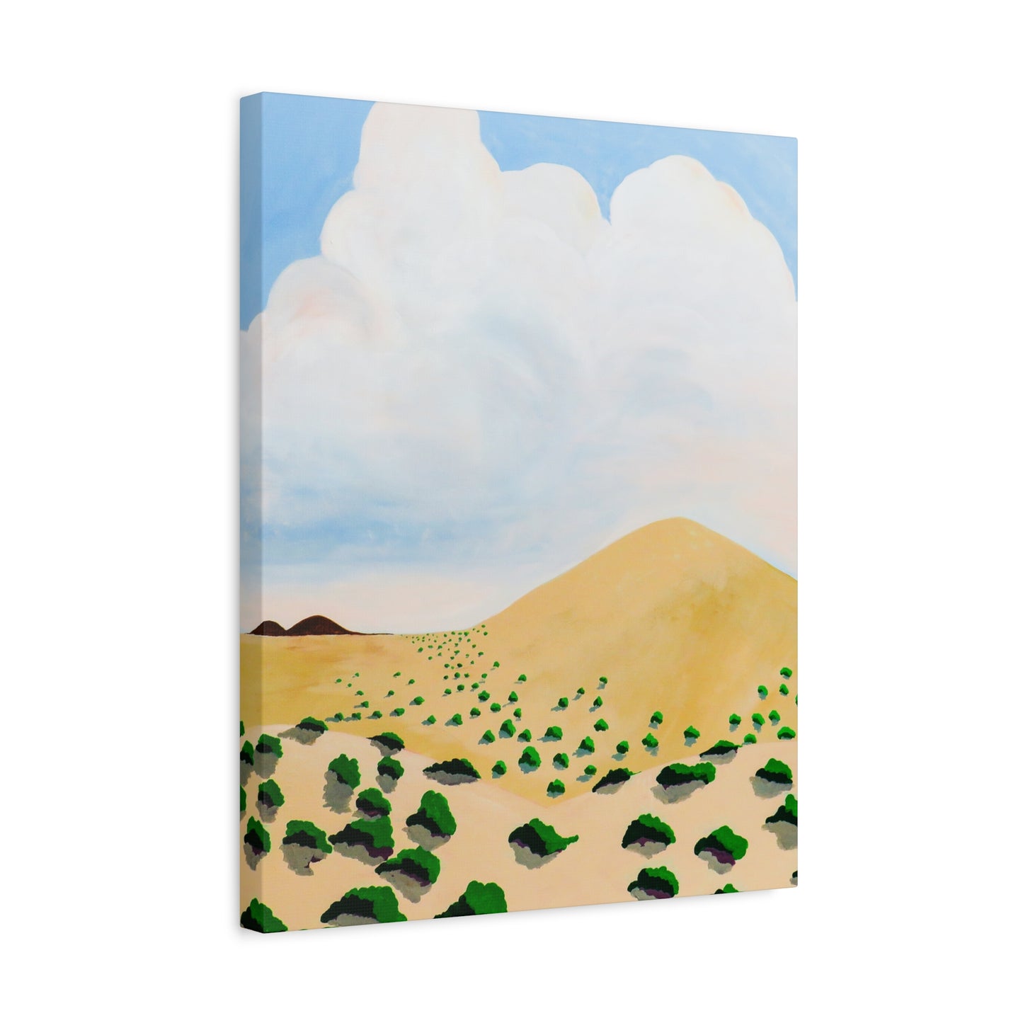 Desert Nothing New Mexico