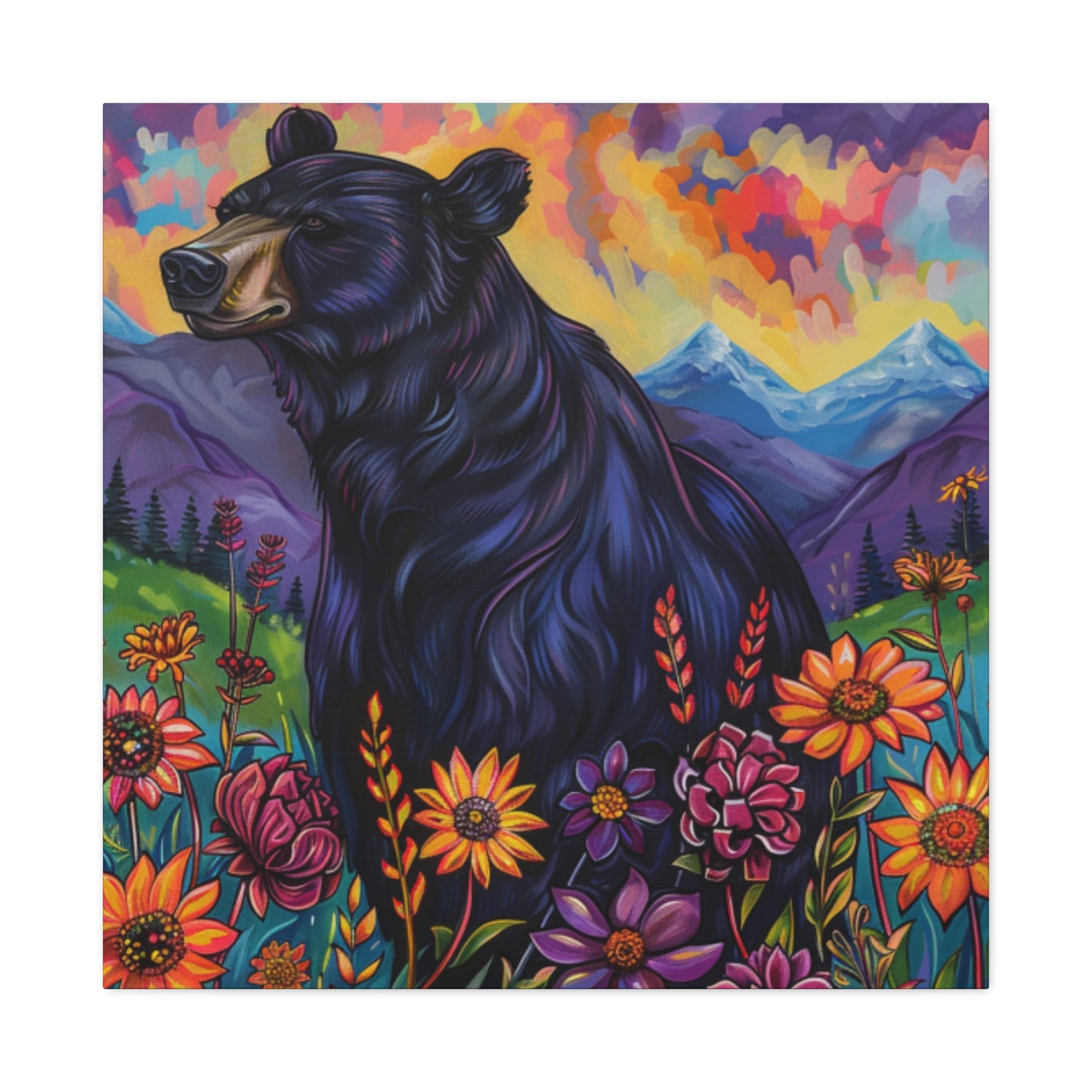 Black Bear Purple Mountains