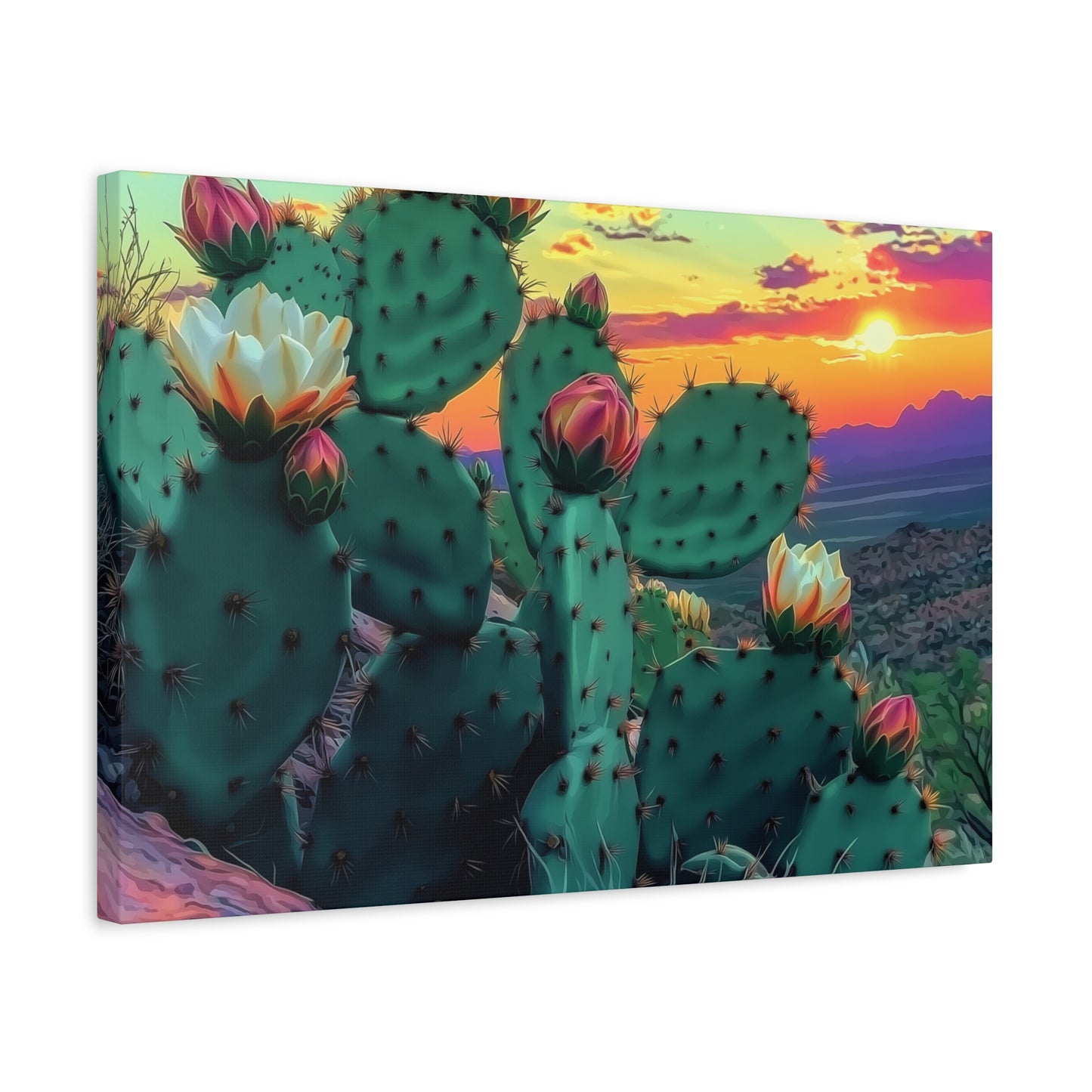 Prickly Pear Blooming Vista 3