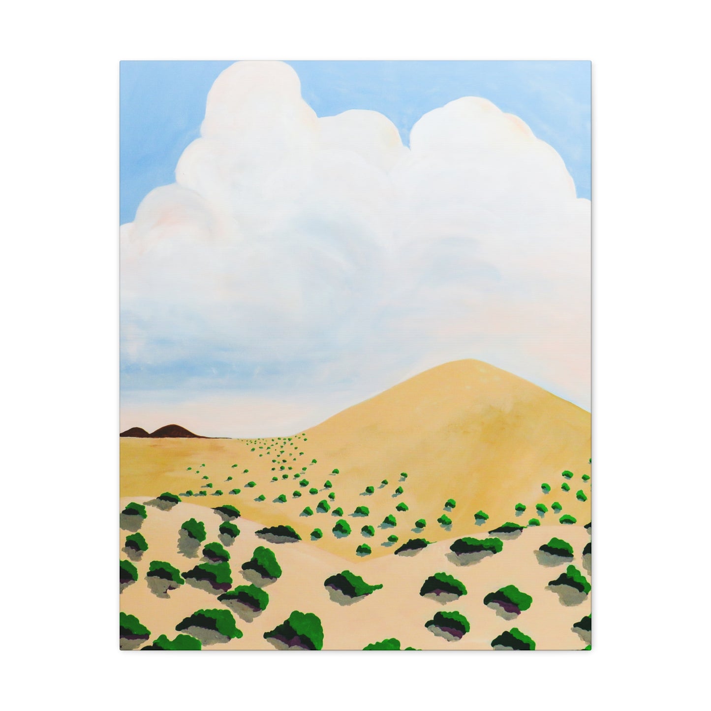 Desert Nothing New Mexico