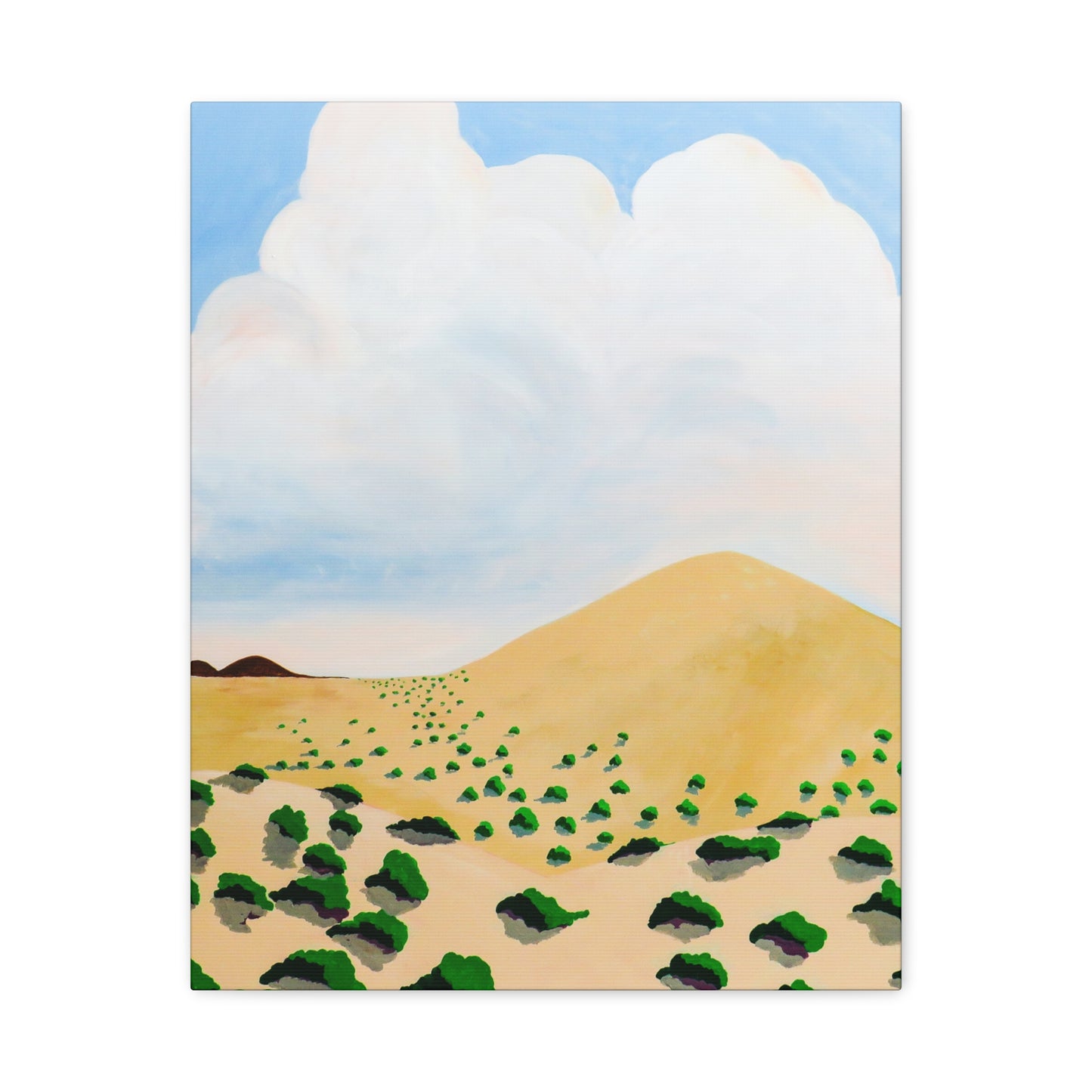 Desert Nothing New Mexico