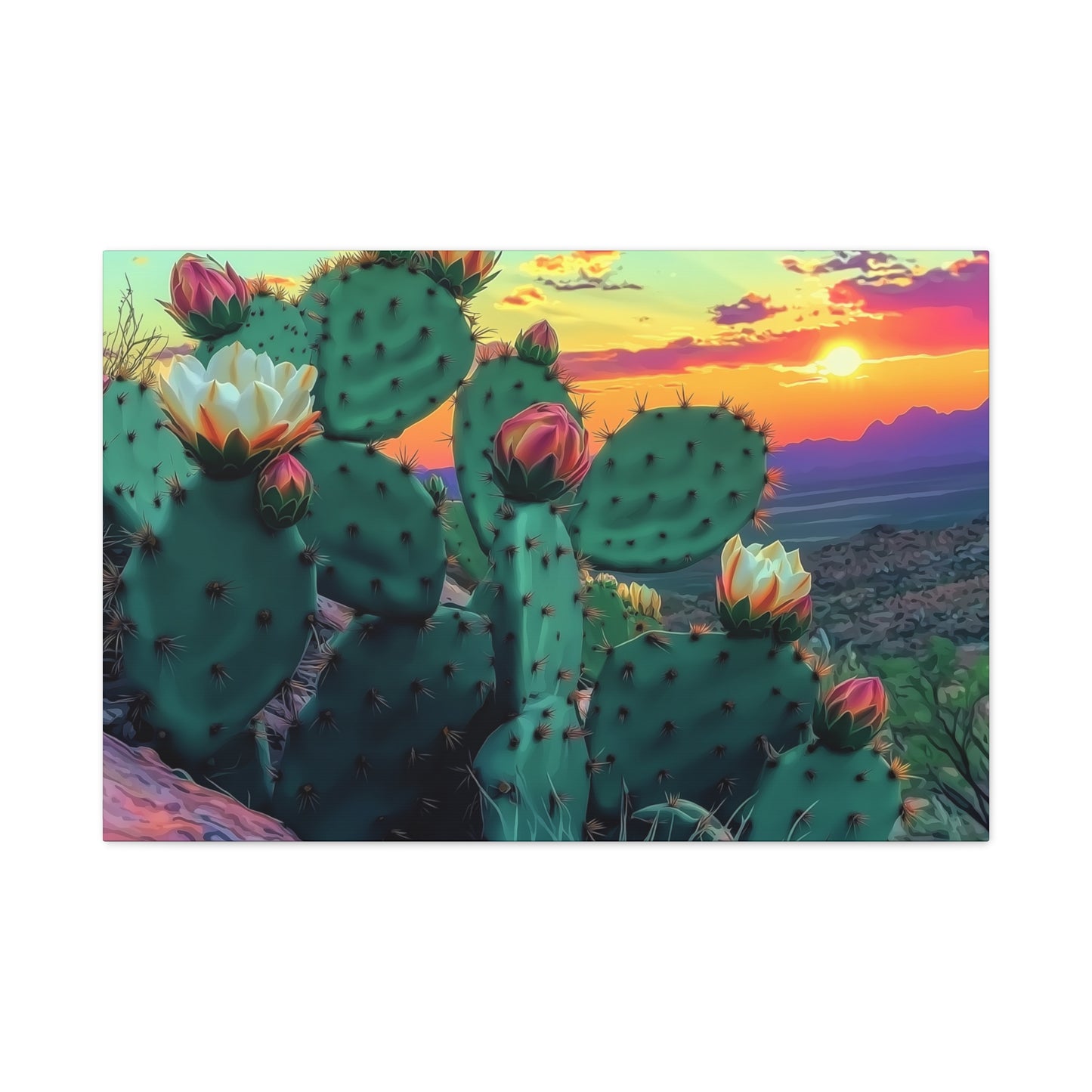 Prickly Pear Blooming Vista 3