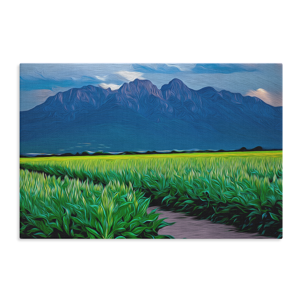 CanvsWrp-ImgWrp-16x24-Thick-20250703100127738