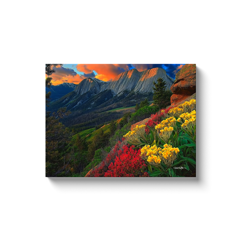 generated-proPreview-5