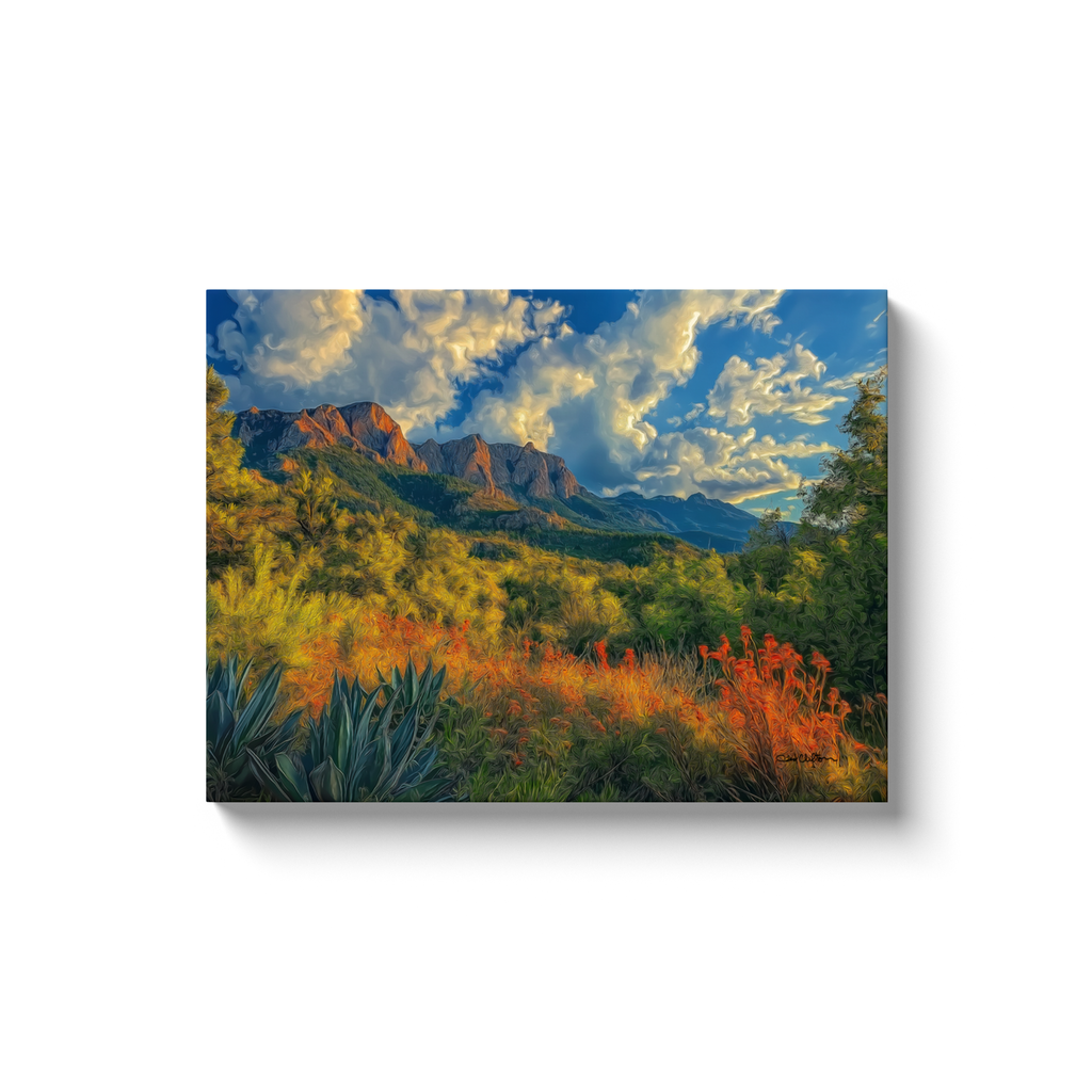 generated-proPreview-5