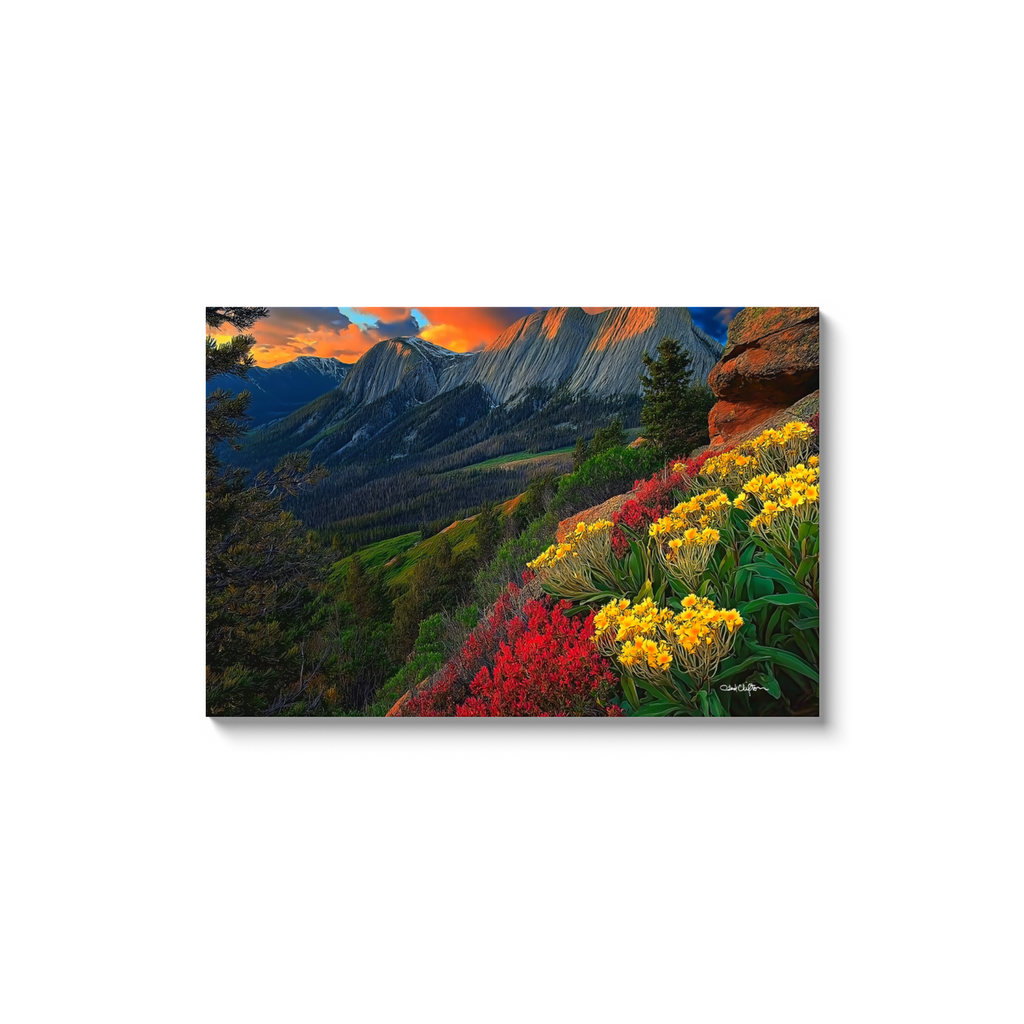 generated-proPreview-14