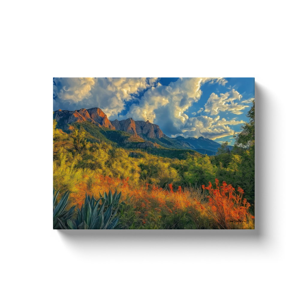 generated-proPreview-2