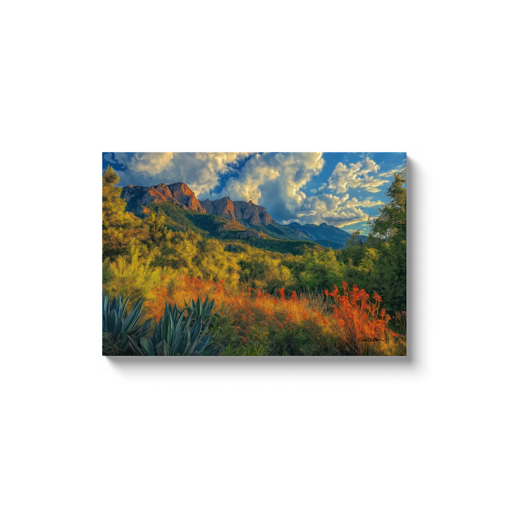 generated-proPreview-8