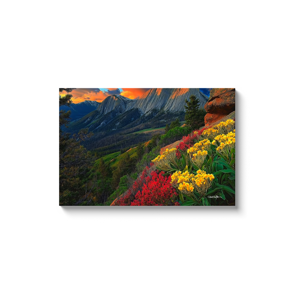 generated-proPreview-8