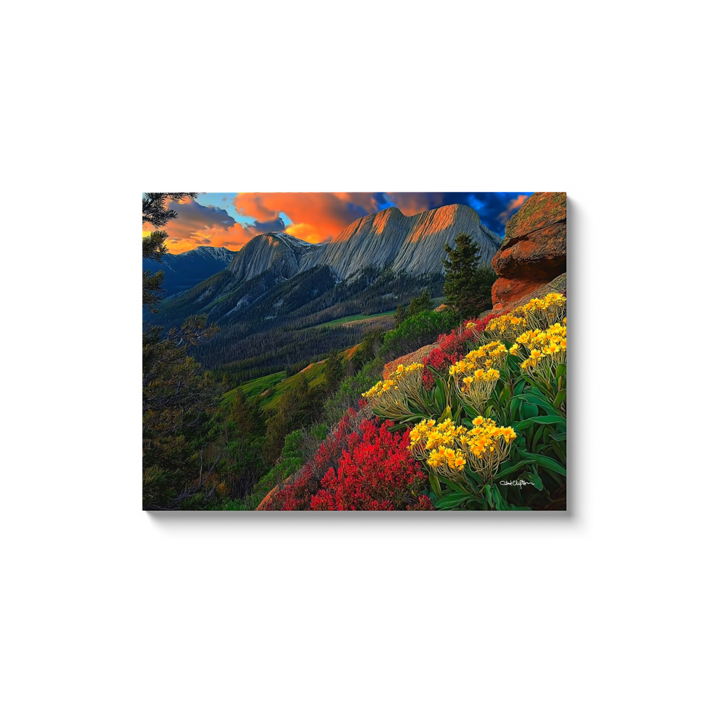 generated-proPreview-11